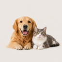 Made for dogs & cats