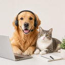 Fast, friendly support